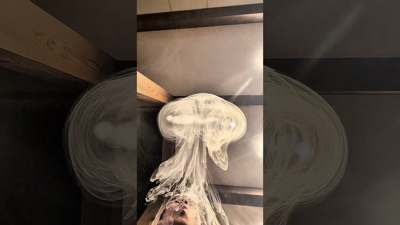 パーフェクトなクラゲ🍨🧙