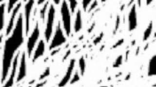 Thomas Brinkmann - It's Just (When Horses Die..., 2008)