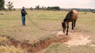 Miniatura do vídeo