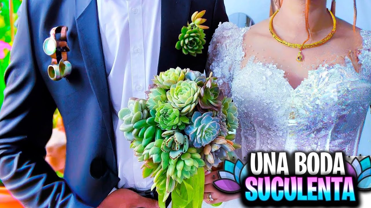 BODA SUCULENTA