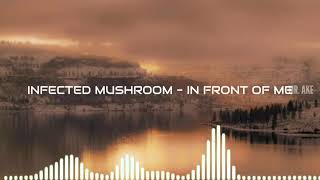Infected Mushroom - In Front of Me [Sub Español - Inglés]