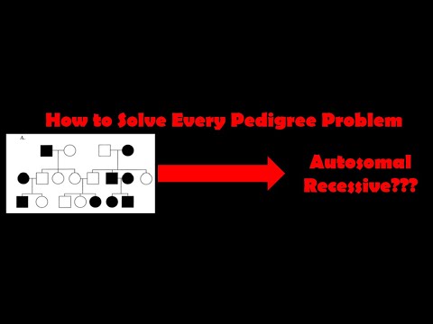 Genetics for Dummies:Chapter 3:Quickest Way to Solve EVERY Pedigree for Genetics