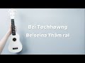 Bzi Tochhawng - Beiseina Thâm Ral (cover)