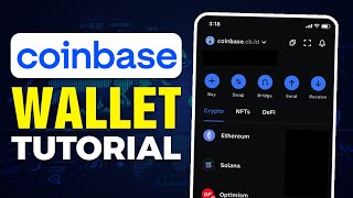 How To Use Coinbase Wallet (2024)