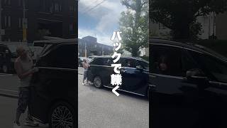 秘書バックが好き #ラファエル #秘書 #バック