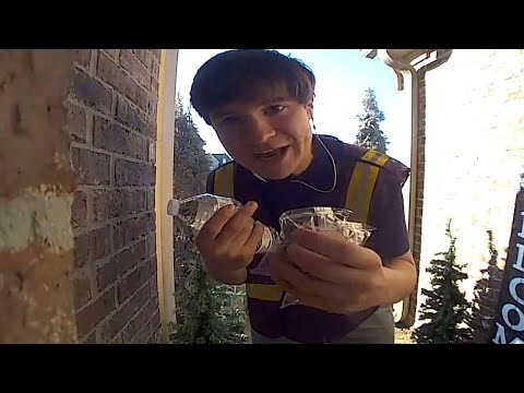 download lagu mp3 mp4 Snacks Home Delivery, download lagu Snacks Home Delivery gratis, unduh video klip Snacks Home Delivery