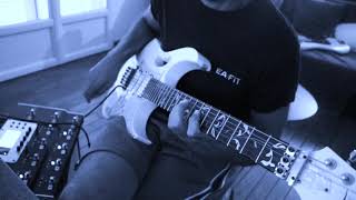 Joe Satriani revisited  "wind in the trees"