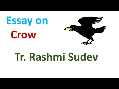 Essay on The Crow / Short Paragraph on The Crow/ 10 lines on The crow
