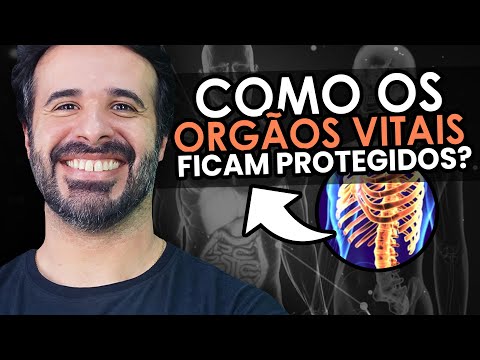 DO YOU KNOW WHAT PROTECTS VITAL ORGANS?