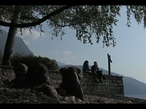 Roman Weber's Cinematography  Reel