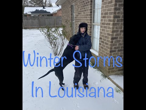 2 Winter Storms in Louisiana in 1 week!🥶 Winter Storm Uri & Winter Storm Viola