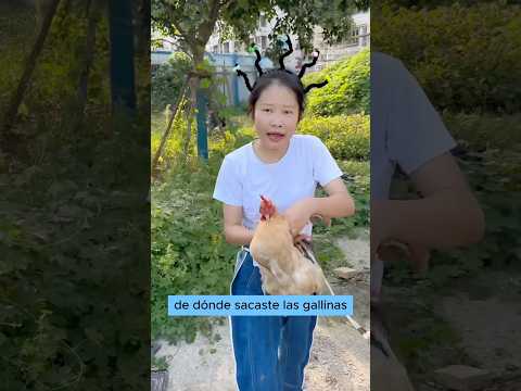 El plan de mi novia para hacerse rica criando pollos
