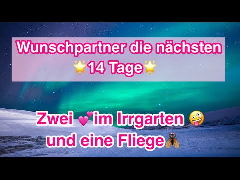 🌟Wunschpartner die nächsten 14 Tage Zwei💕im Irrgarten🤪und eine Fliege 🪰🙈 #orakel