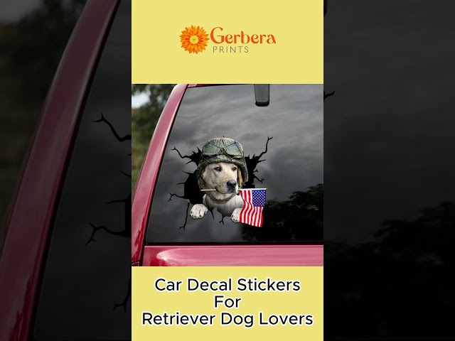 Vídeo relacionado con 2 pegatinas de vinilo de 15 cm con texto en inglés "Dogs Allowed" - Home Shop Store Dog Pet Animals Friendly Welcome Sign Notification Small Business Taxi Sticker #83052