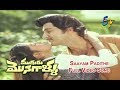 Saayam Padithe Full Video Song Mugguru Monagallu Shobhan Babu Giribabu ETV Cinema