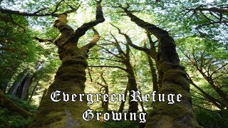 Evergreen Refuge - Growing (Full Album)