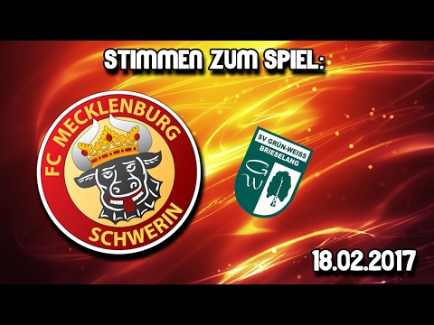 Stimmen zum Spiel FCM Schwerin - SV GW Brieselang