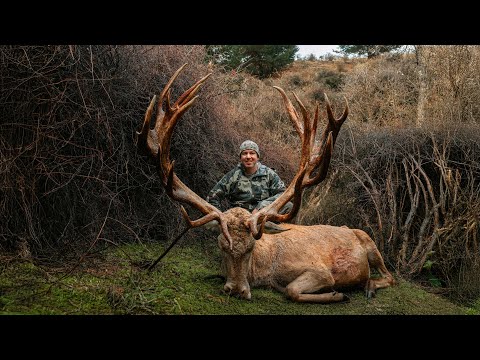 Venator New Zealand | Hunt of a Lifetime – Red Stag Pursuit