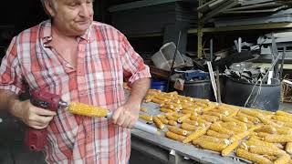 removing kernels from corn cob with drill