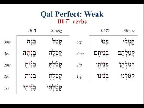 ה Verbs Ch14 Qal Perfect Weak