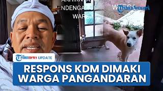 Warga Pangandaran Panggil Hewan Peliharaan Sebutan 'KDM', Dedi Mulyadi: Segera Dijemput RS Cisarua