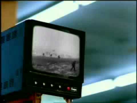 11th Hour 11th Day 11th Month