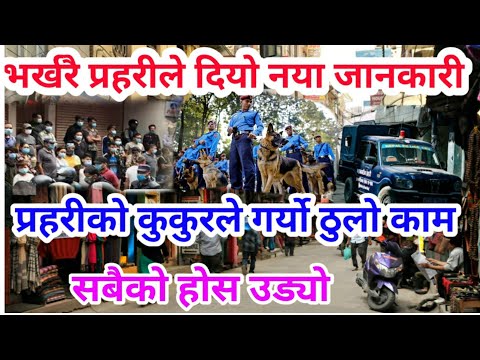 भर्खरै गोंगबु घ`टना को नया जानकारी प्रहरीले बाहिर लीयो कुकुरले पत्तालगायो सबैको होस उड्यो