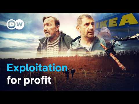 Flatpack Forests -Ikea’s Practices In The Carpathian Mountains | Dw Documentary