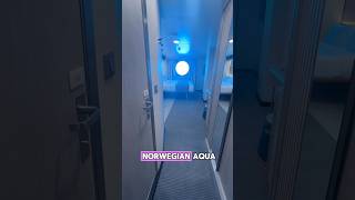 Solo Oceanview Cabin 5136 Norwegian Aqua #cruise