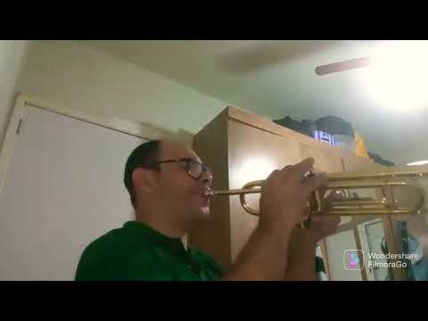 #jccustom trompete Werill et 1172