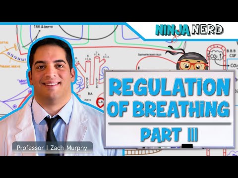 Respiratory | Regulation of Breathing: Factors Influencing Rate and Depth: Part 3