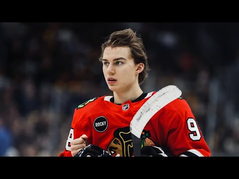 Connor Bedard Career Highlights HD