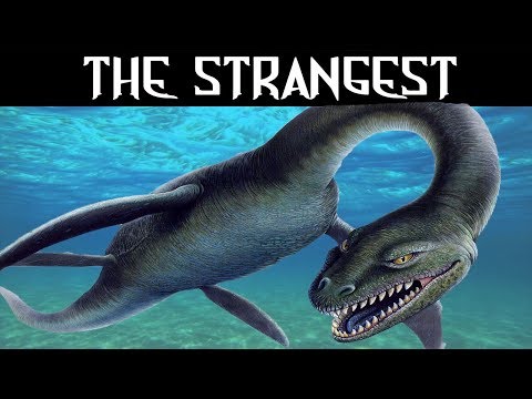 Terrifying Tales of the Loch Ness Monster!
