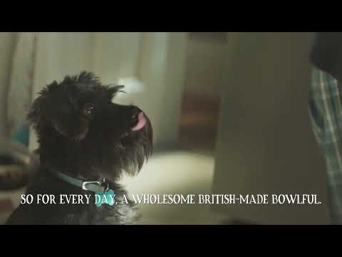 Butcher's Dog Food 10sec advert Vet Recommended, Every Day Bowlful Feb23- Available from Sainsbury's