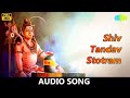 Shiv Tandav Stotram Har Har Shiv Shankar Shiva Song Geetraag