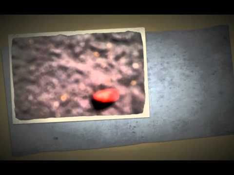 Love Is On My Mind Haile Maskel aka Mikey Ras Starr