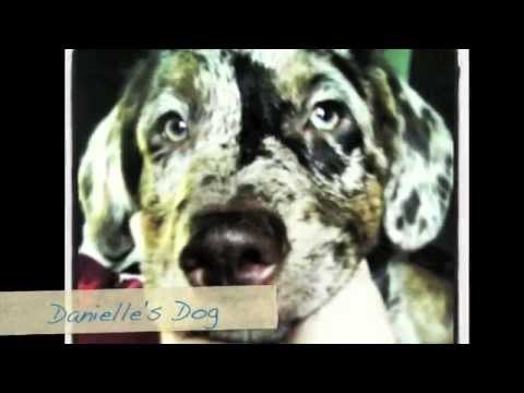 Danielle - Five Senses Spa and Salon Employee Since 2013