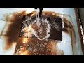 a satisfying flooded rug cleaning you ve never seen before