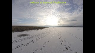 Ссылка