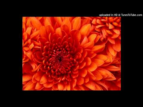 1.Devra Tudi Killi (Purvi) - Hit Bhojpuri Video Song Kalpana _ Pyar Ke Rog Bhayil