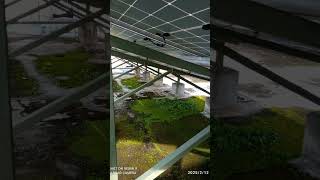 Download lagu #teknisi #Panel solar PLTS mp3 Download lagu #teknisi #Panel solar PLTS mp3