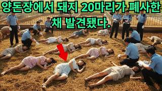 Download lagu 월급 때문에 20명을? 돼지농장 그날 밤의 끔찍한 진실 | 잔혹한범죄 | 미스터리 | 실화 mp3