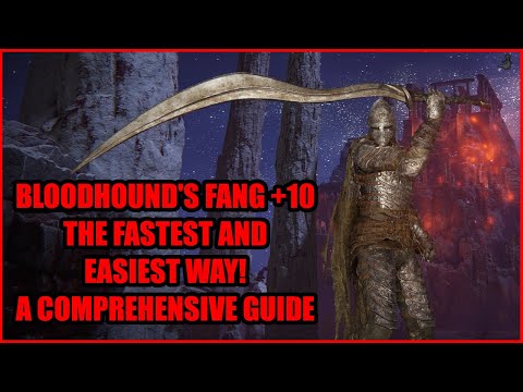 How to get BLOODHOUND'S FANG +10 Easily! - Elden Ring Walkthrough #eldenring #eldenringgameplay