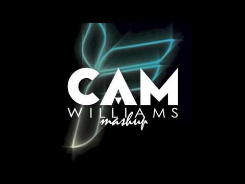 Ferry Corsten vs. Lunde Bros. - I Wanna Belong (cam williams mashup)