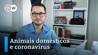 Miniatura do vídeo