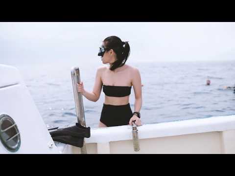 Lazyfish x Miyakojima Freediving