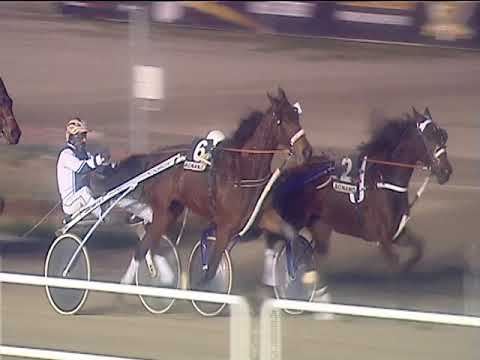 Trotto 20/02/2019 - 6ª corsa