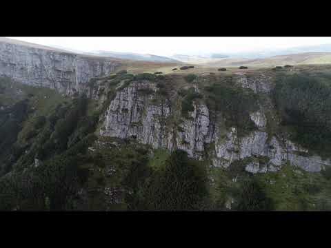 Jepii Mici în Parcul Natural Bucegi din cadrul Romsilva