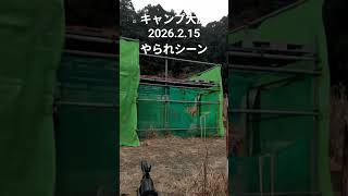 キャンプ大原2026.2.15やられシーン