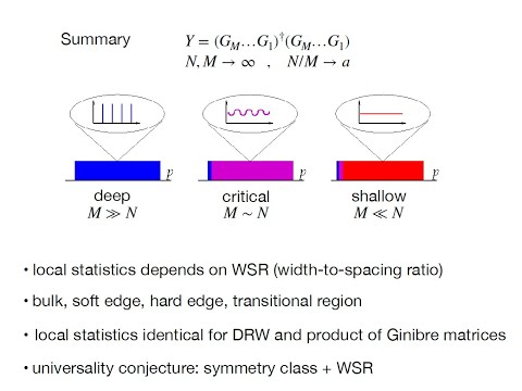 Z. Burda: Universality of random matrix dynamics